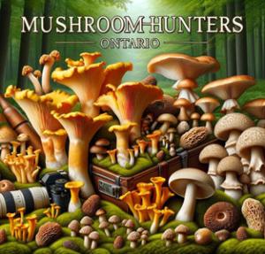 Mushroom Hunters Ontario