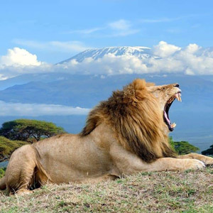 Travel East Africa