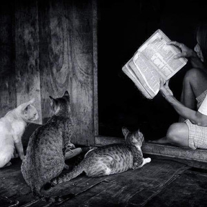 World of Books