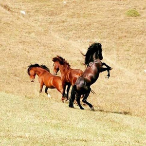 Adventure Armenia