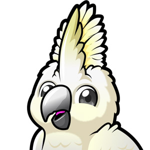 Cockatoo - AI Transcription
